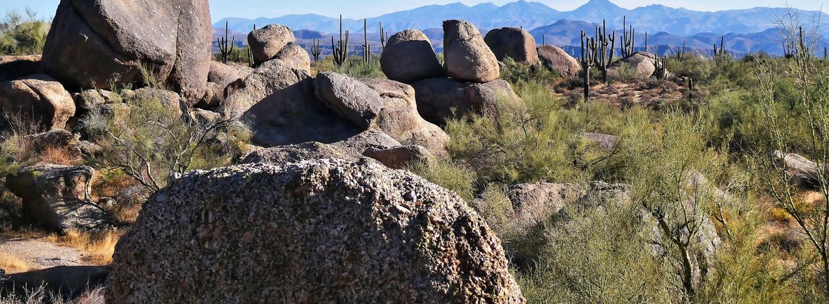 Arizona desert scenery near Grayhawk